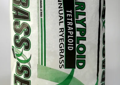Earlyploid bag of ryegrass seed